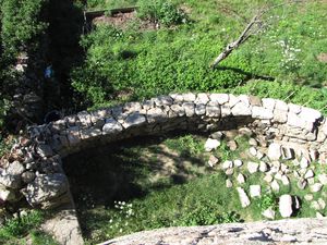 IMG_2868.JPG