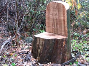 fauteuil-dans-le-chataignier.JPG