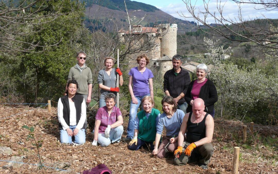 Week-end solidaire et travaux…