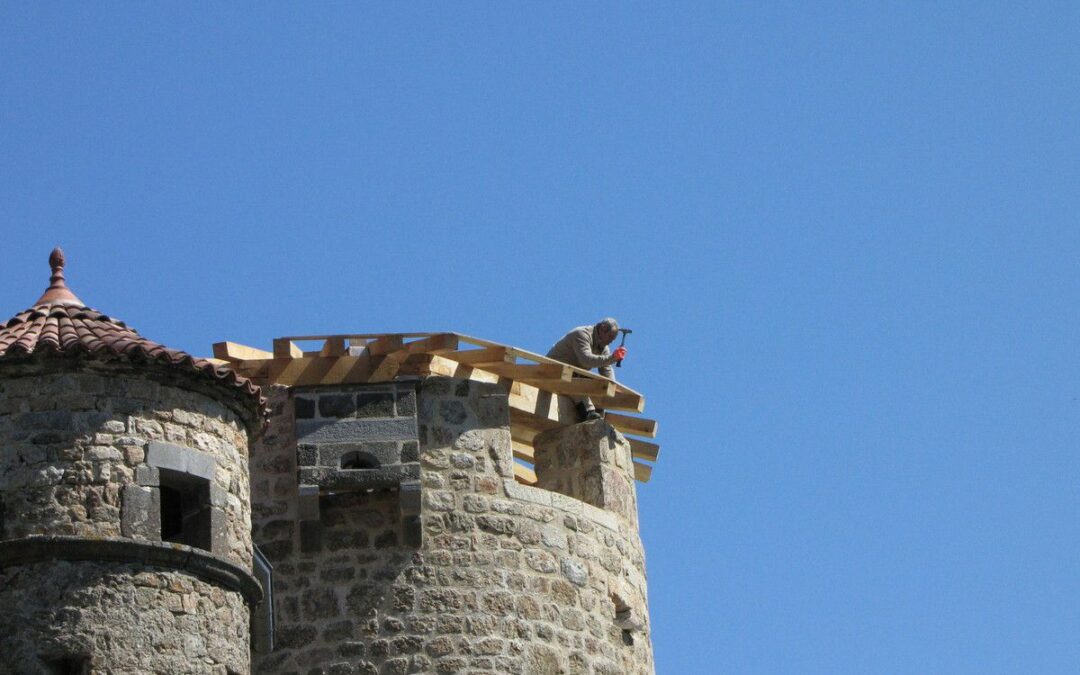 Charpente et lice appartement