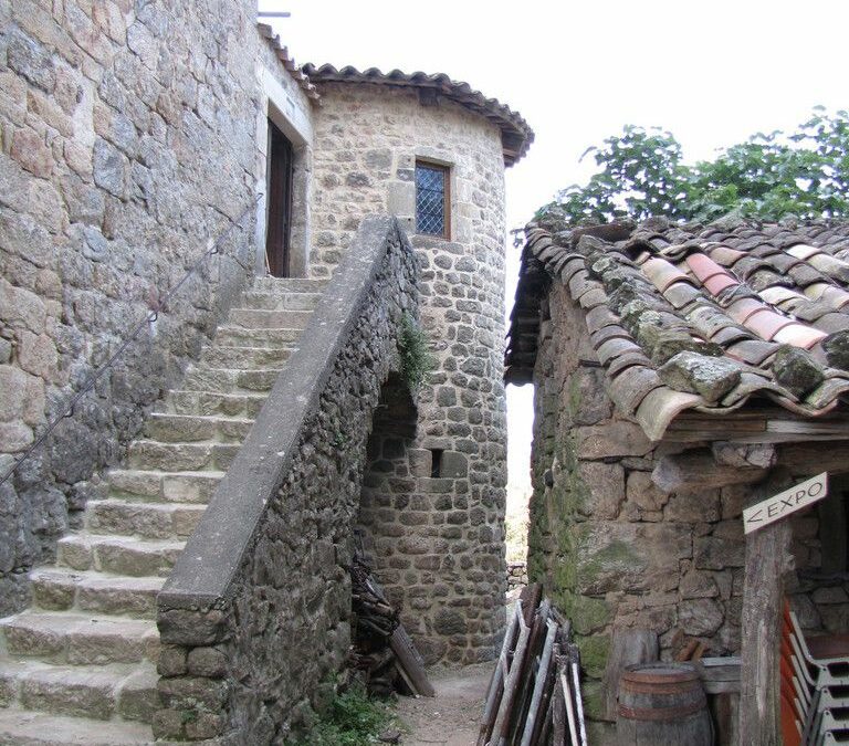 Tour Ouest, labyrinthe dans la fougeraie