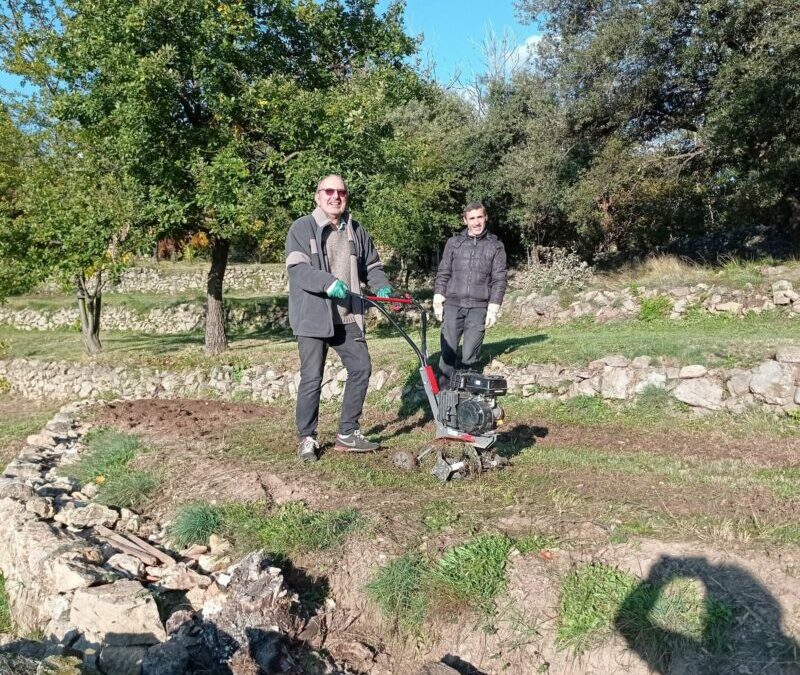 Les travaux de l’automne